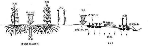 土地處理系統(tǒng)對(duì)污水凈化的主要原理-樂(lè)中環(huán)保